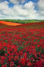 Dreamy Nature Beautiful Nature Nature Landscape