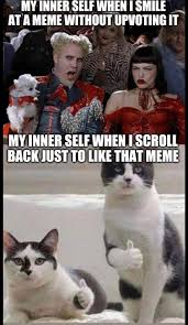 I M Sorry But This Just Isn T Funny Comedycemetery
