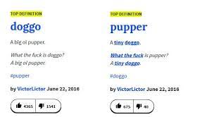 Thanks Urban Dictionary Urban Dictionary Funny Urban Dictionary Funny Texts