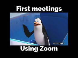4 First Meetings Using Zoom Youtube Class Memes Funny School Memes Meetings Humor