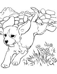 Print them online for free or download them for your child. Simple Christmas Dog Coloring Pages 1682 Christmas Dog Coloring Pages Coloringtone Book Free Coloring Library