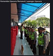 Sofort nach den besten ergebnissen suchen Kucing Lucu Kepada Komandan Upacara Hormat Grakk Facebook