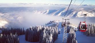 Waste collection and recycling services commercial and residential twin cities des moines area st louis area. Aspen Ski Areas Incline Ski Board Shop