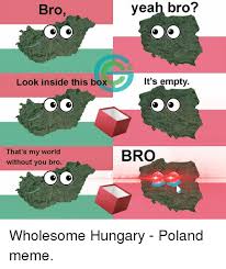 Meme Memes And World Bro Veah Bro Look Inside This Box It S Empty That S My World Without You Bro Browholesome Hungary Polish Memes History Memes Memes