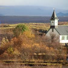 Image result for Tragia kirkiana