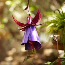 I mean who doesn't love hummingbirds? Fuchsia Hummingbird Bird Feeder Metal Garden Art Desert Steel
