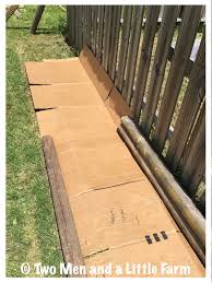 Plants use sulfur to produce amino acids and vitamins. Two Men And A Little Farm Using Cardboard In Landscaping And Gardening