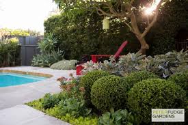 Retro Planting Combinations Under A Frangipani Tree Peterfudge Landscaping On A Hill Outdoor Gardens East Facing Garden