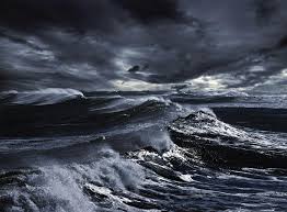 Shop by subject, style, room, best sellers & more. Read Not Another Scary Sea Story Online