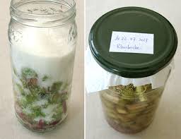 Cheong Sirop Fermente De Fruit Ou De Legume Sans Cuisson La Table De Diogene Est Ronde Aliments Fermentes Fruit Sirop