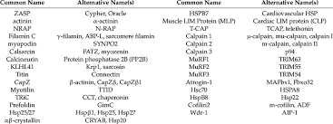 The muscular system consists of various types of muscle that each play a crucial role in the function of the body. Alternative Names For Sarcomere Thin Filament Factors Download Scientific Diagram