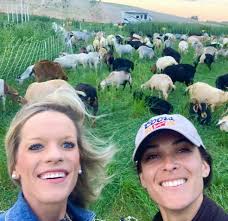 Lauren Boldt (@LightningBoldt2)