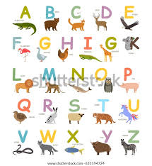 Learn the alphabet with abc animals song for children. Childrens English Alphabet Animals Cartoon Style Stock Vektorgrafik Lizenzfrei 631594724