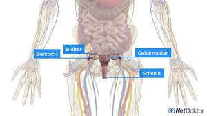 Am besten lässt man sich von einem erfahrenen homöopathen beraten. Menorrhagie Starke Regelblutung Ursachen Tipps Netdoktor