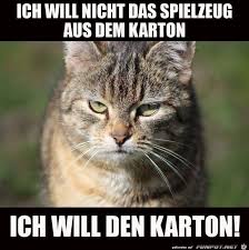 Funpot is a community, in which the members could change funny and worth seeing texts and files. Ich Will Cat Quotes Funny Funny Cats Cat Quotes