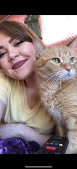 Lost and Found Pets Cook County