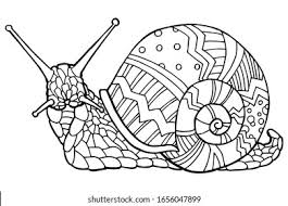 Available instantly on compatible devices. Snail Pictures To Colour Coloring Data Order