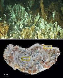 But the pirates in turn take over the aronnax. Biosignatures In Chimney Structures And Sediment From The Loki S Castle Low Temperature Hydrothermal Vent Field At The Arctic Mid Ocean Ridge Springerlink