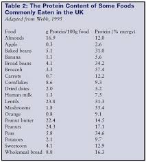 Protein Myth Fact Sheet Resources Viva Health