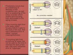 Physiology Of Eye Physiology Of Vision Online Presentation