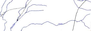 Image result for Trichopteryx fruticulosa