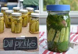 • when you pickle food, you preserve it by keeping it in vinegar or salt water. Naturally Fermented Pickles The Complete Guide Makesauerkraut