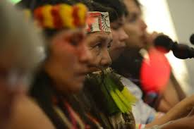 Sergio Richard Romero Nina Archives