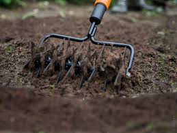 + produkt hinzufügen wähle alles. Hand Gartenfrasen Test Sternfrasen Vergleich 2021