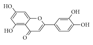 Image result for Grewia mollis