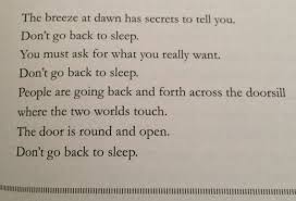 Don T Go Back To Sleep Rumi Told You So Poems To Tell