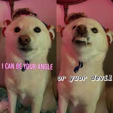 I Can Be Your Angle Or Yuor Devil Memes