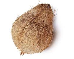 For Fruits Name In Hindi And English Check Here Fruits Names Scientific Names In Red Colour Apple Pippin Malus Domestica Apricot Coconut Fruit Dry Coconut