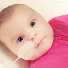 Fundraiser by Curtis Francis : Layla's Feeding Equipment