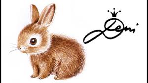 Kaninchen Haschen Zeichnen Lernen In 3 Farben How To Draw A Bunny Hase Zeichnen Hund Zeichnen Susse Tiere Zeichnen
