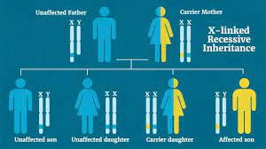 Do Girls And Women Get Duchenne Muscular Dystrophy Dmd Everyday Health