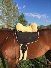 Benachrichtigen sie mich vor ende der auktion. Pa Do Reitsport Egal Fur Welchen Tollen Lammfellsattel Facebook