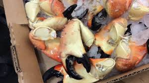 Hold the claw in the palm of your hand, using a hand towel to protect your hand. Stone Crab Claws Are Here Youtube