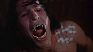 The X-Files: Season 1 (1993) — The Movie Database (TMDB)