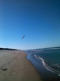 Birds Flying Along Canaveral National Seashore Playalinda Beach In Titusville Fl Playalinda Beach Seashore Titusville