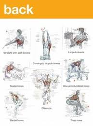 46 Best Back And Bicep Workout Images Workout Gym
