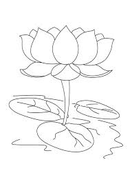 Beautiful Lotus Coloring Pages In 2020 Lotus Flower Drawing Lotus Flower Colors Flower Drawing