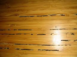 We did not find results for: 10 Tips Merawat Lantai Kayu Agar Tak Cepat Rusak Dan Lapuk