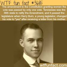 This Is Actually True Though Moms To The Rescue For Human Rights Fun Facts Wtf Fun Facts Funny Facts