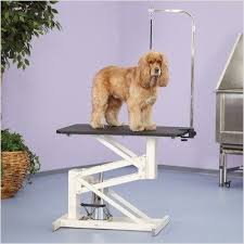 Robot Check Pet Supplies Wholesale Dog Table Grooming