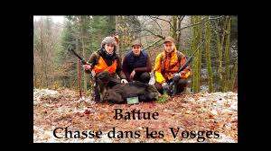 Bonjour , cette vidéo fait un retour sur ma saison 2019/20 en attendant la nouvelle saison qui débute 11 місяців тому. Battue 2018 2019 Chasse Au Grand Gibier Chevreuils Sangliers Youtube