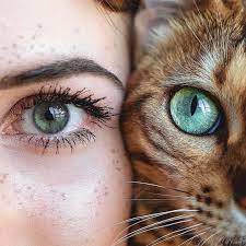 Seeing Eye To Eye Eye Art Art Reference Photos Aesthetic Eyes