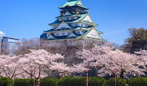 Yesterday at 1:54 am ·. Osaka Cherry Blossoms 8 Cherry Picked Sakura Spots Japan Cheapo