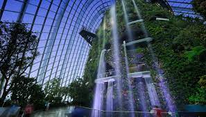 Founded in 1859, the singapore botanic gardens showcases the best and most spectacular of tropical flora set in stunning verdant landscape. Garten Urban Gardens By The Bay Eine Riesige Gartenstadt In Singapur