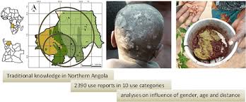 Image result for Chamaecrista zambesica