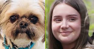 Piper the Dog Archives